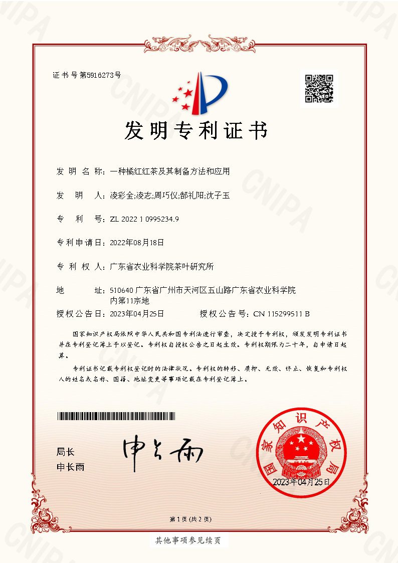 国家发明专利证书