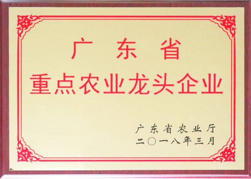 广东省重点农业龙头企业